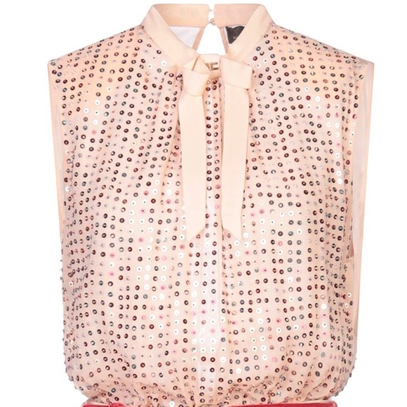 Callie Sequin & Satin: Elisabetta Franchi Dress - Picture 2 of 6